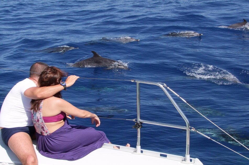 Amazing Land & Sea Pack Tour - Open Roof 4x4 + Dolphin