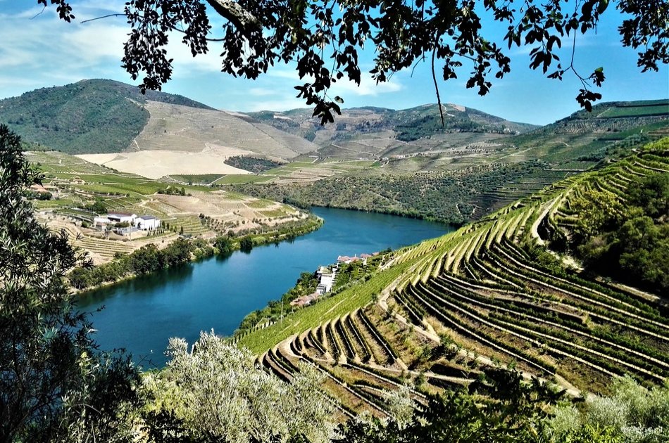Douro Valley Small Group Tour with Wine Tastings & Lunch from Porto