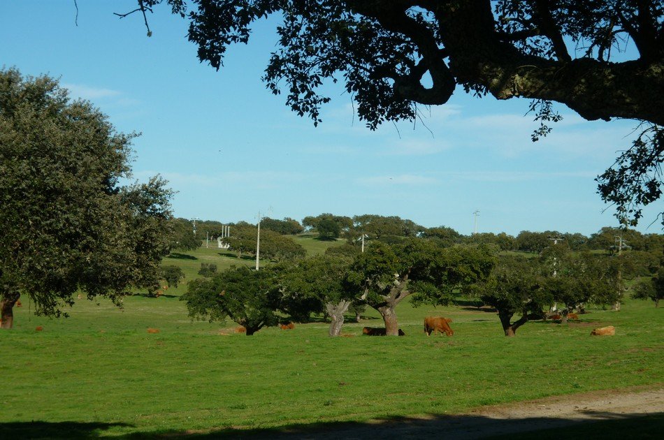 Evora and Monsaraz – Wine and Gastronomy