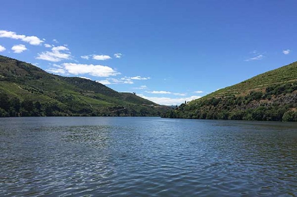 Full Day Oporto Family Vineyard Guided Tour In Portugal