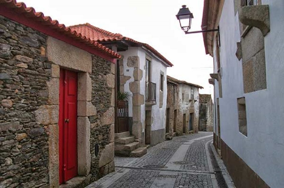 Full Day Oporto Family Vineyard Guided Tour In Portugal