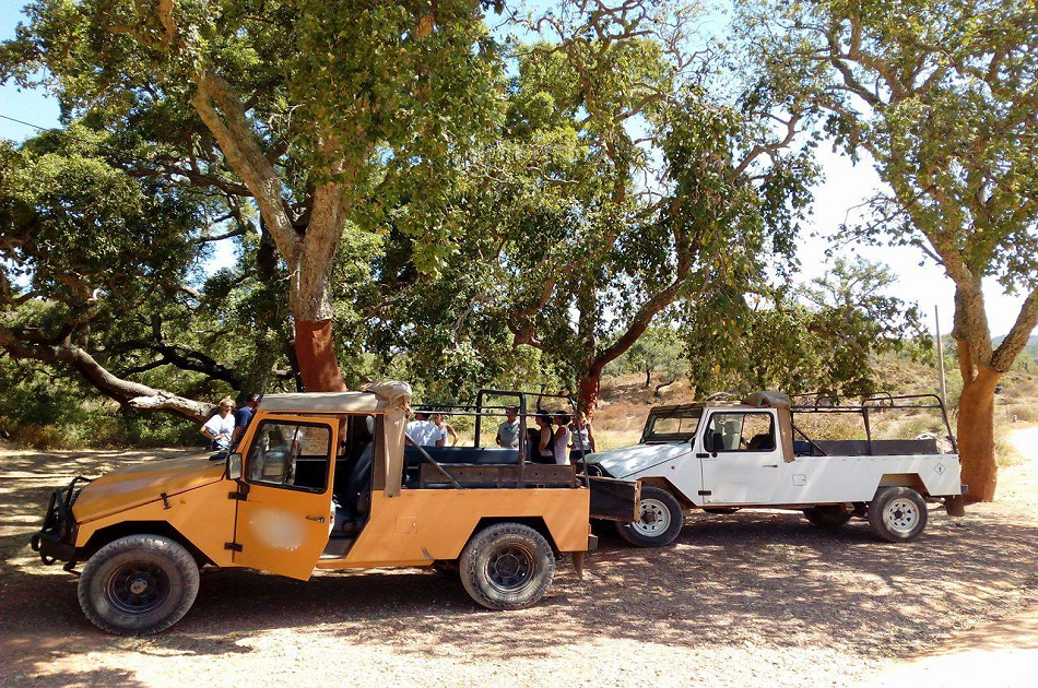 Half-Day Algarve Jeep Safari from Albufeira