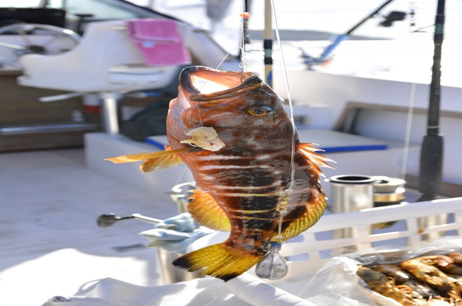 Land & Ocean (Fish for Your Own Lunch and Private Jeep Tour) in the Azores