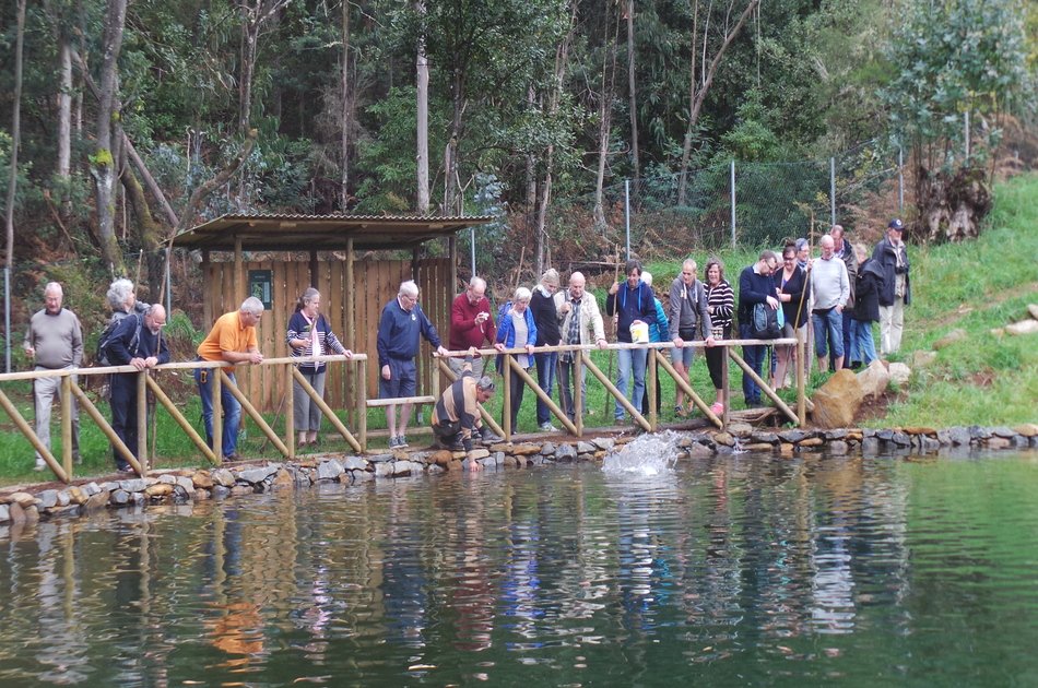 Private Full Day Jeep Tour (East or West) of Madeira from Funchal