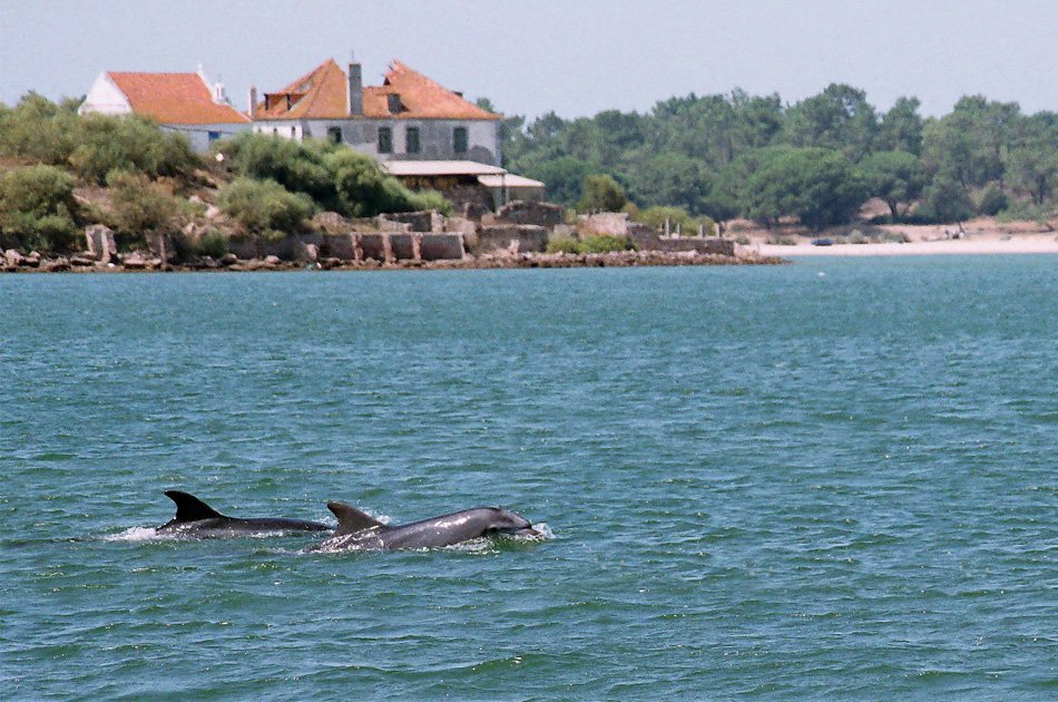 Private Tour from Lisbon to Cost Alentejo
