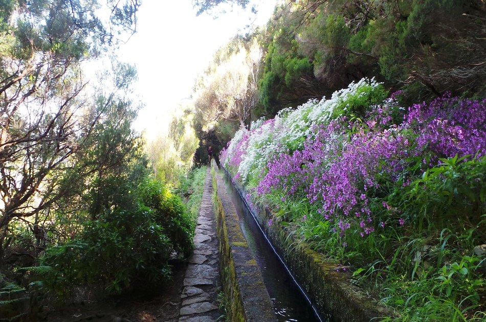 Rabaçal Levada Walk + Open Roof 4x4 Tour