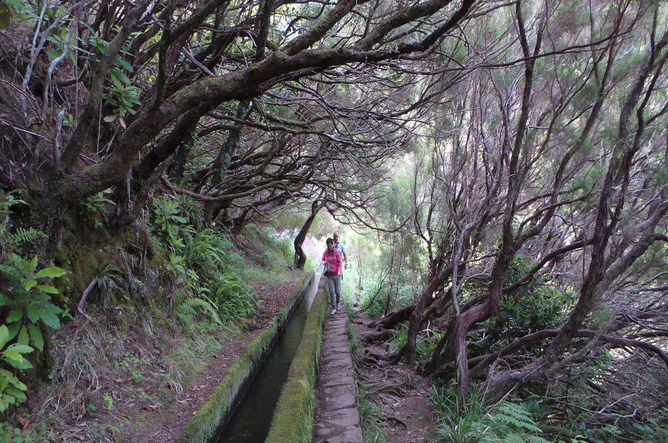 Rabaçal Levada Walk + Open Roof 4x4 Tour