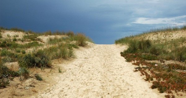 Two-Way Private Transfer Between Lisbon Airport and Costa de Caparica