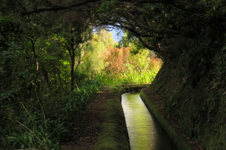 Volcanic Lava Pools Tour - Northwest Madeira