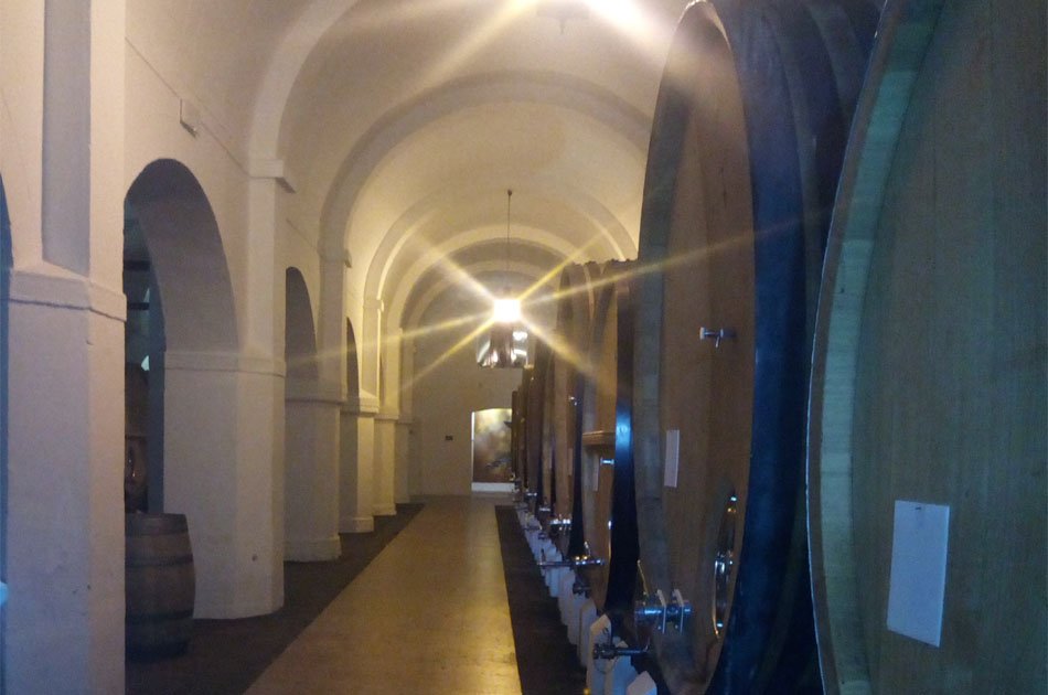 Évora Private Tour - Wine Tourism from Lisbon