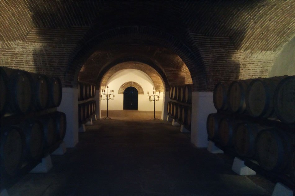 Évora Private Tour - Wine Tourism from Lisbon