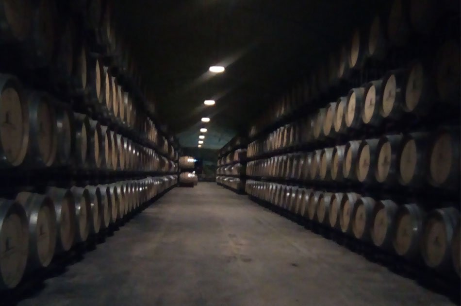 Évora Private Tour - Wine Tourism from Lisbon