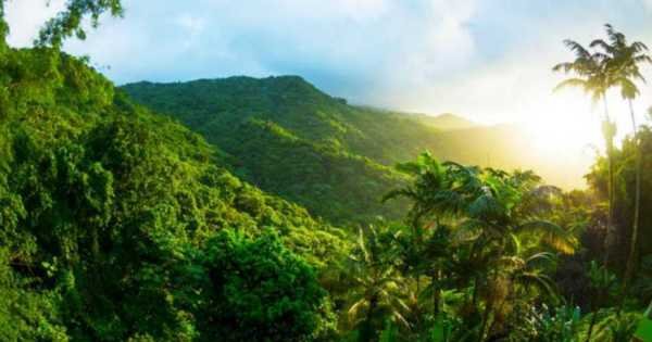 Meet Your Guide at El Yunque - Off the Beaten Path