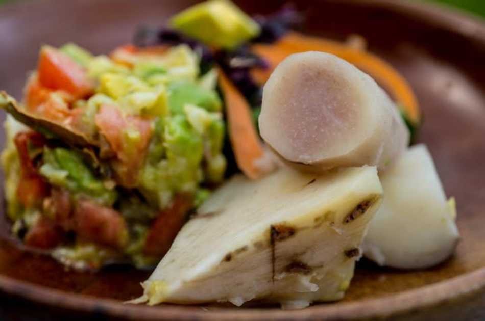 Workshop: Experience Life on a 11 Acre Organic Farm