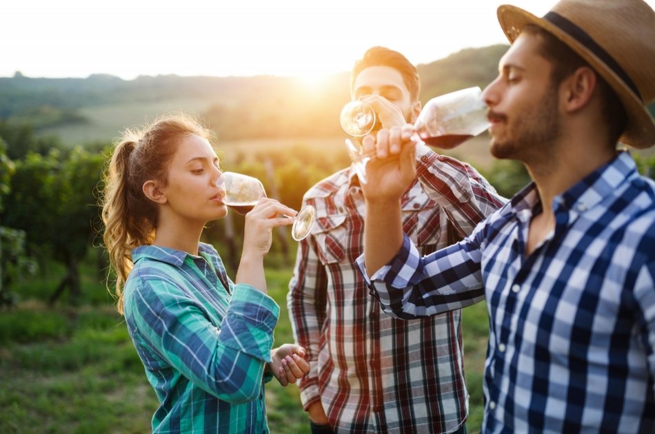 Romanian Wine Tasting in Buzau