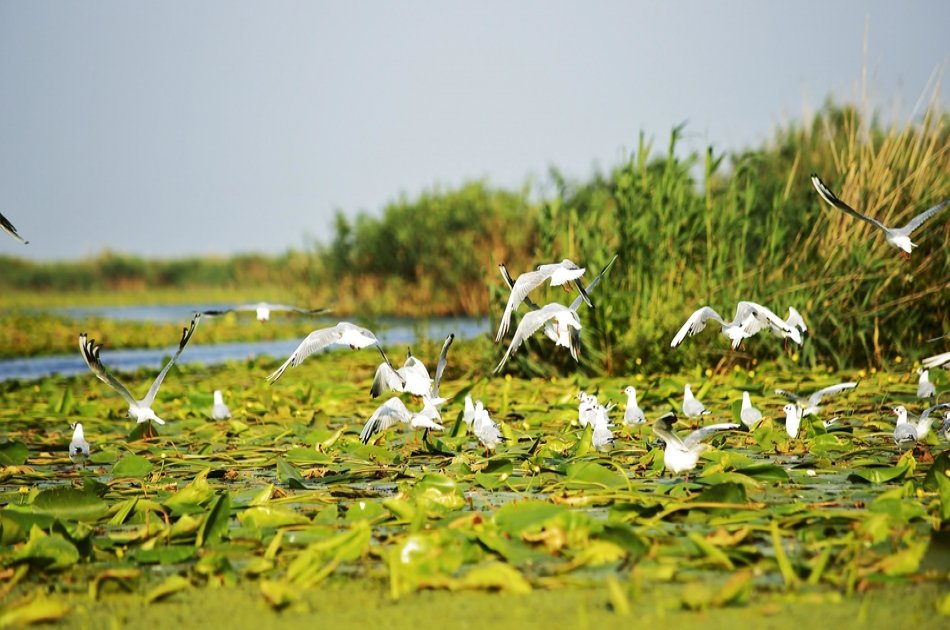 The Danube Delta & Black Sea 2 Day Tour