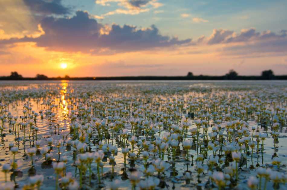 The Danube Delta & Black Sea 2 Day Tour