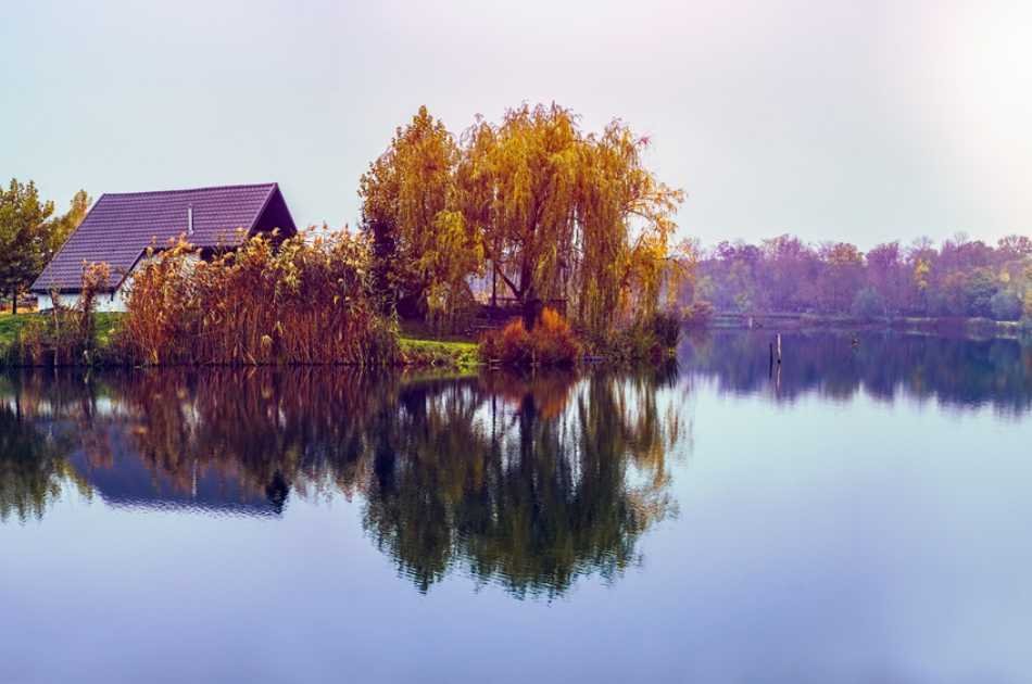 "The Delta" near Bucharest With Boat Trip