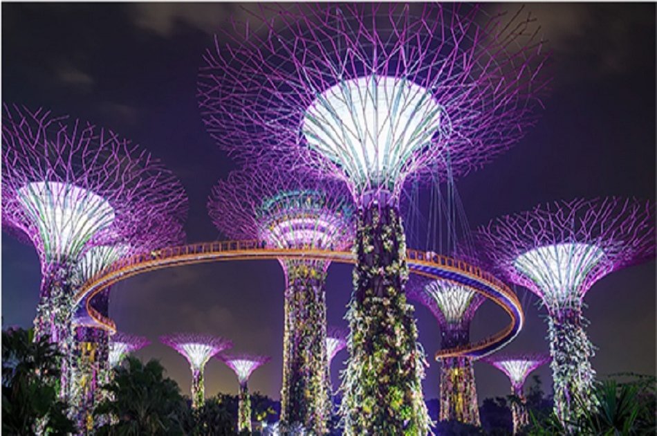 Singapore Private Night Tour