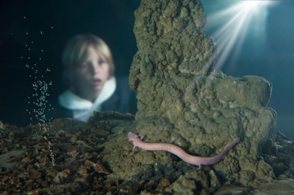 Lake Bled & Postojna cave in one day | Private trip from Ljubljana