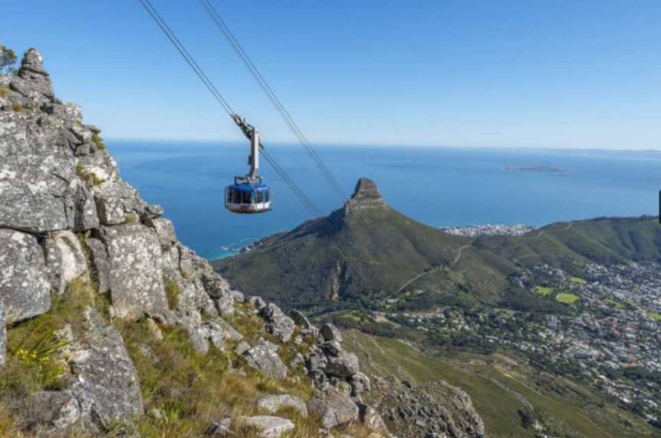 11 Day South Africa Family Adventure