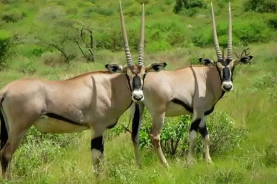 16 Day Self Drive Johannesburg, Kruger and Tropical Mozambique Tour