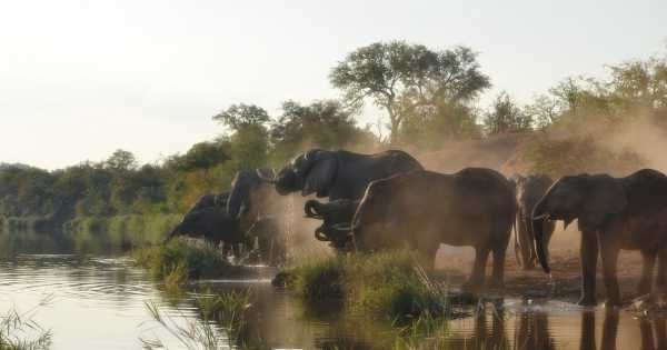 4 Day Private Kruger Classic Safari and Tour