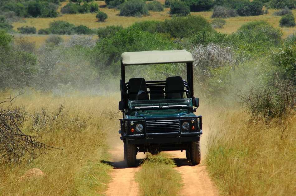 Full day tour to Aquila Private Game Reserve