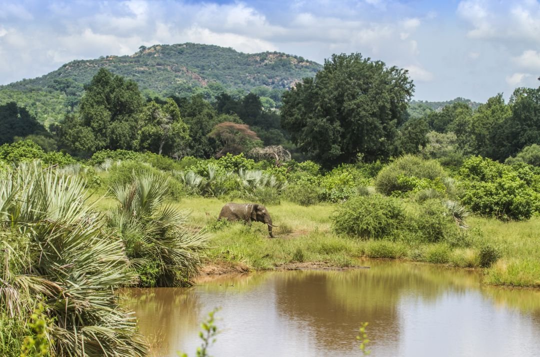 Kruger National Park