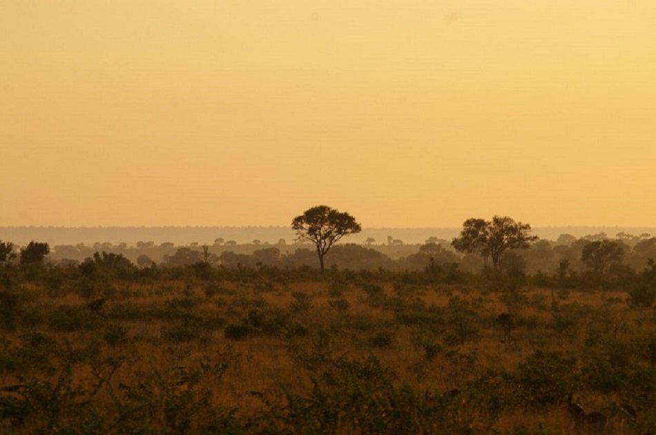 South Africa Adventures on a 4 Day Kruger Classic Game Drive - Small Group Tour