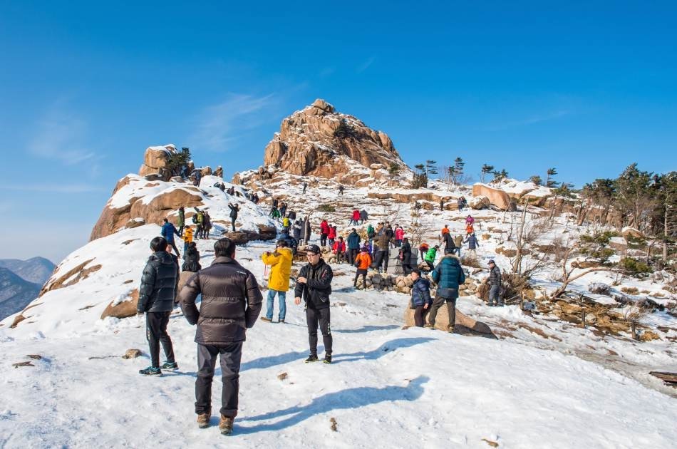 Exciting Ski Tour Package in Gyeonggi-do