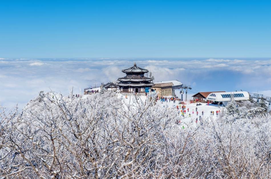 Exciting Ski Tour Package in Gyeonggi-do