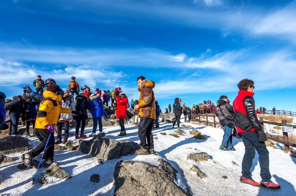 Exciting Ski Tour Package in Gyeonggi-do