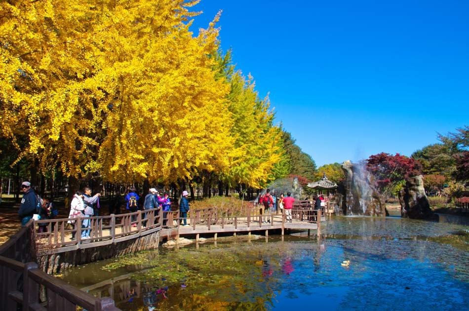 Magnificent Private Tours in South Korea ! Nami Island & Petit France