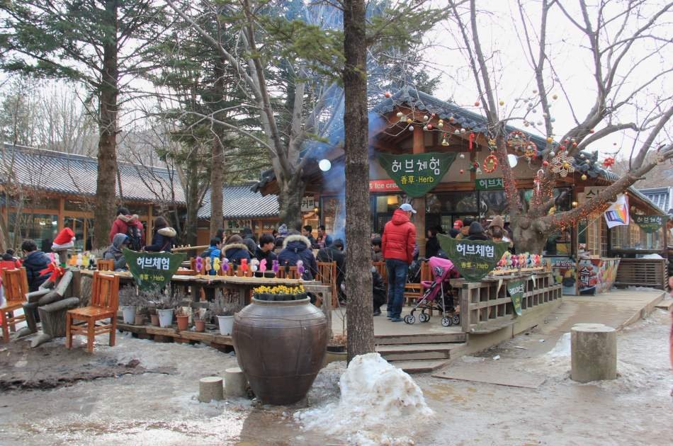 Magnificent Private Tours in South Korea ! Nami Island & Petit France