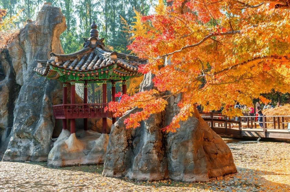 Magnificent Private Tours in South Korea ! Nami Island & Petit France