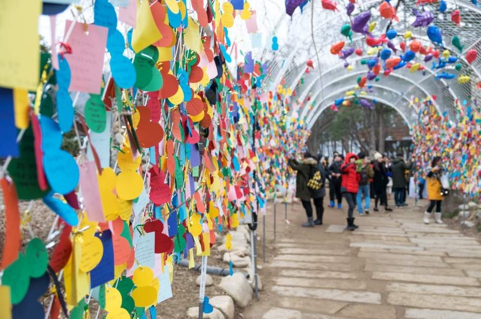 Magnificent Private Tours in South Korea ! Nami Island & Petit France