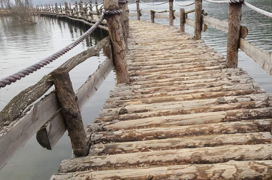 Magnificent Private Tours in South Korea ! Nami Island & Petit France