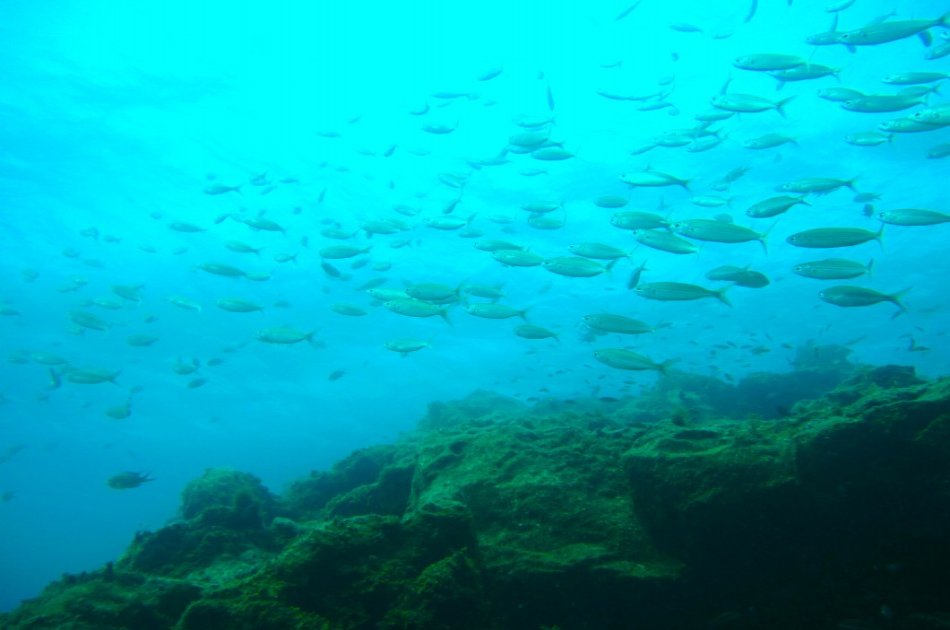 Dives Packages with Transfers in Tenerife