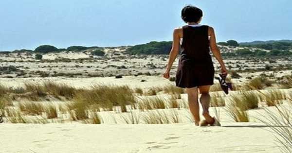 Doñana Nature Park -  Off the Beaten Path Tour