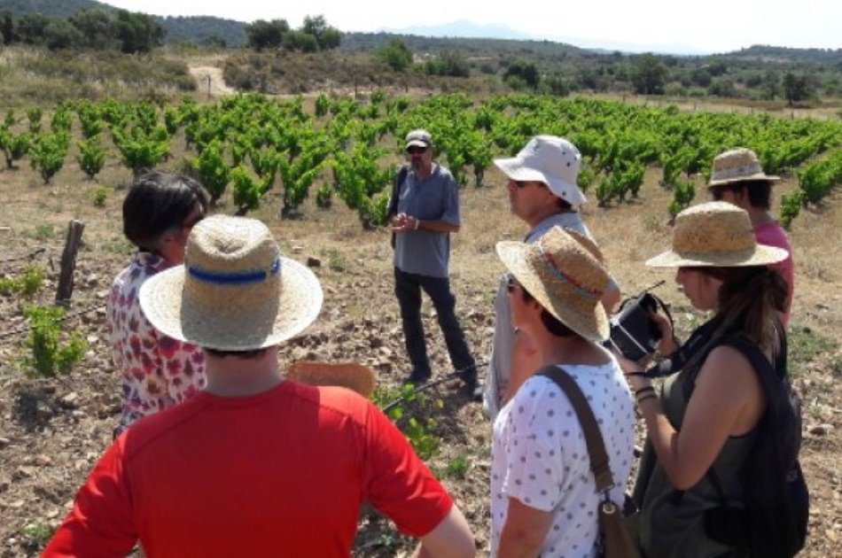 Natural Wine Tour in the Empordà Region from Barcelona