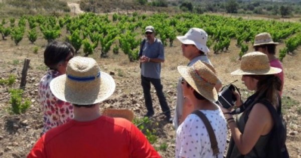 Natural Wine Tour in the Empordà Region from Barcelona