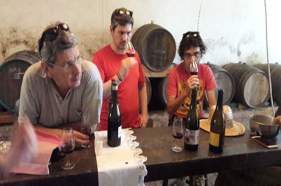 Natural Wine Tour in the Empordà Region from Barcelona