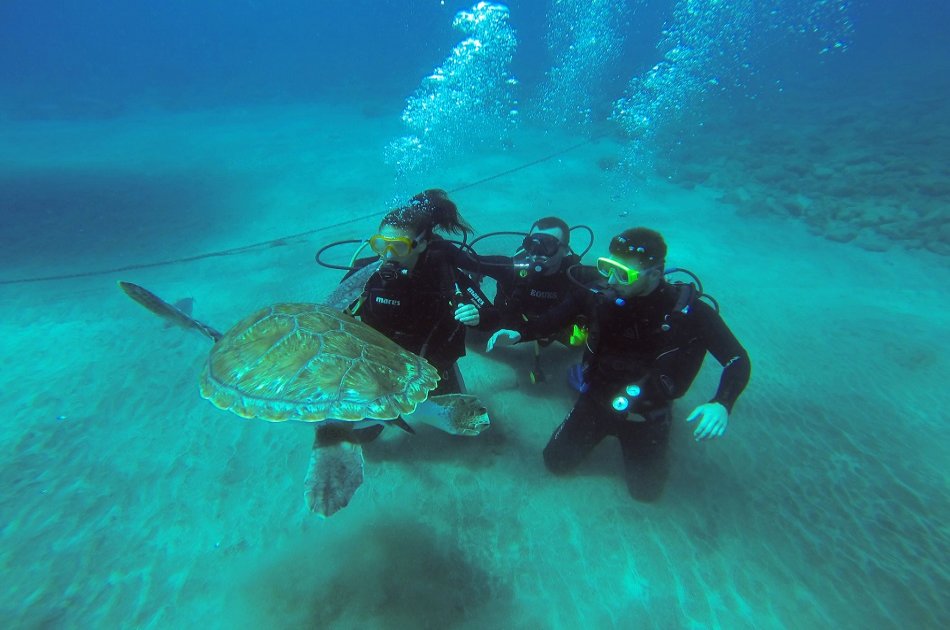 Open Water Course PADI in 3 Days in Los Christianos