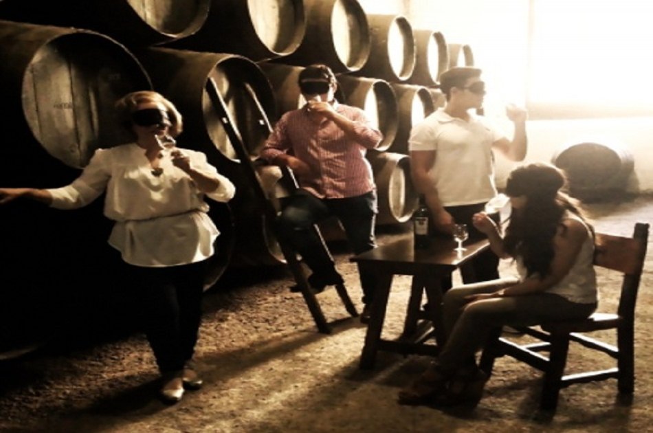 Sensory Wine Tasting in Jerez