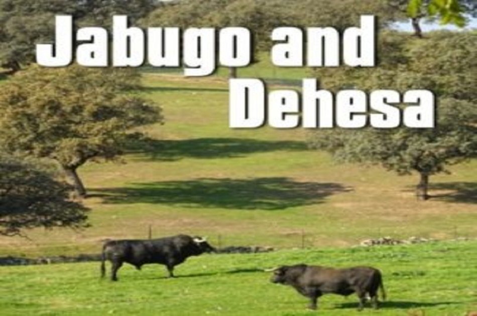 Visit a Pig Farm in Jabugo and Dehesa From Seville