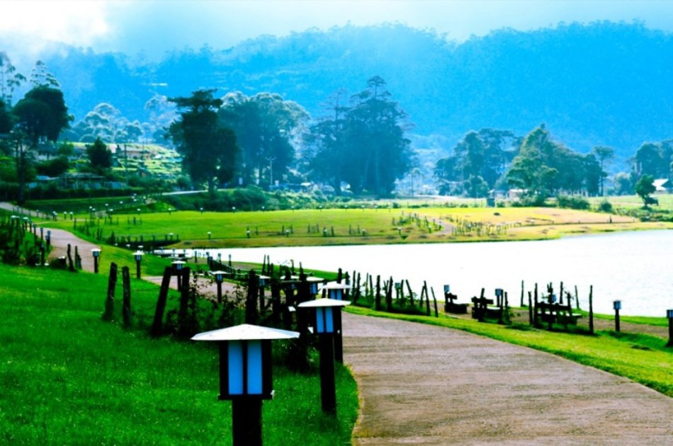 6 Days Unique Tour of Sri Lanka and its Wonders