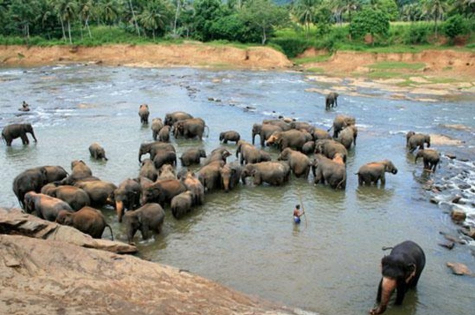 6 Days Unique Tour of Sri Lanka and its Wonders