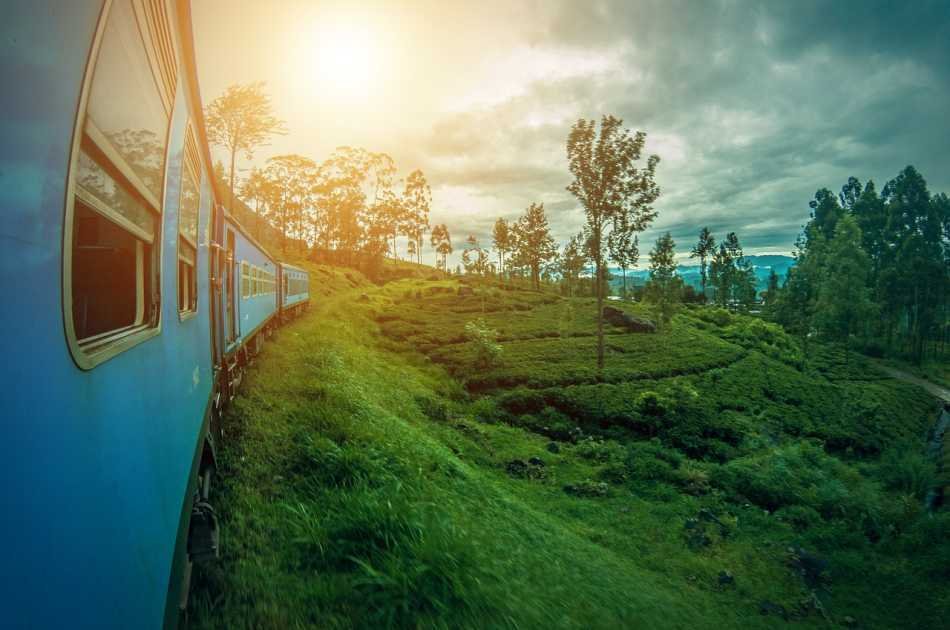 A Private Week of Paradise in Sri Lanka