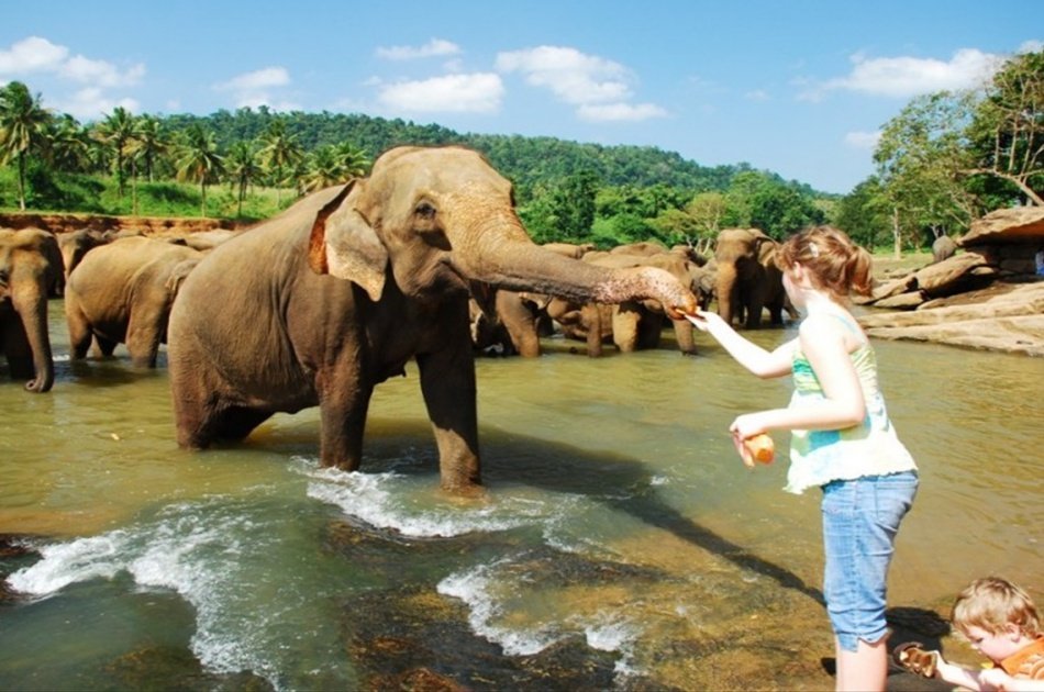 Adventure 4 Day Tour in Sri Lanka